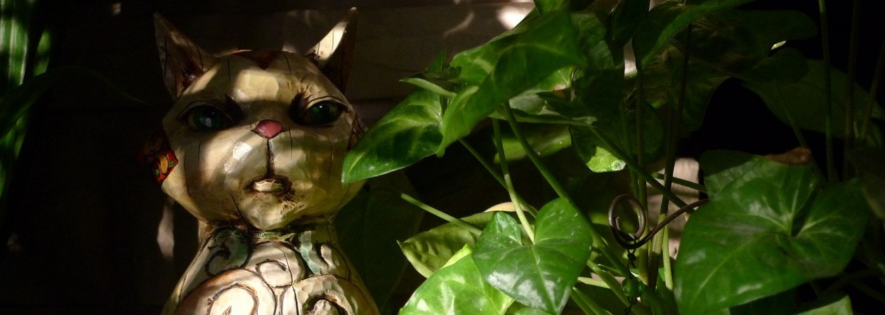 Red Daffodils and Other Odysseys of Wisdom